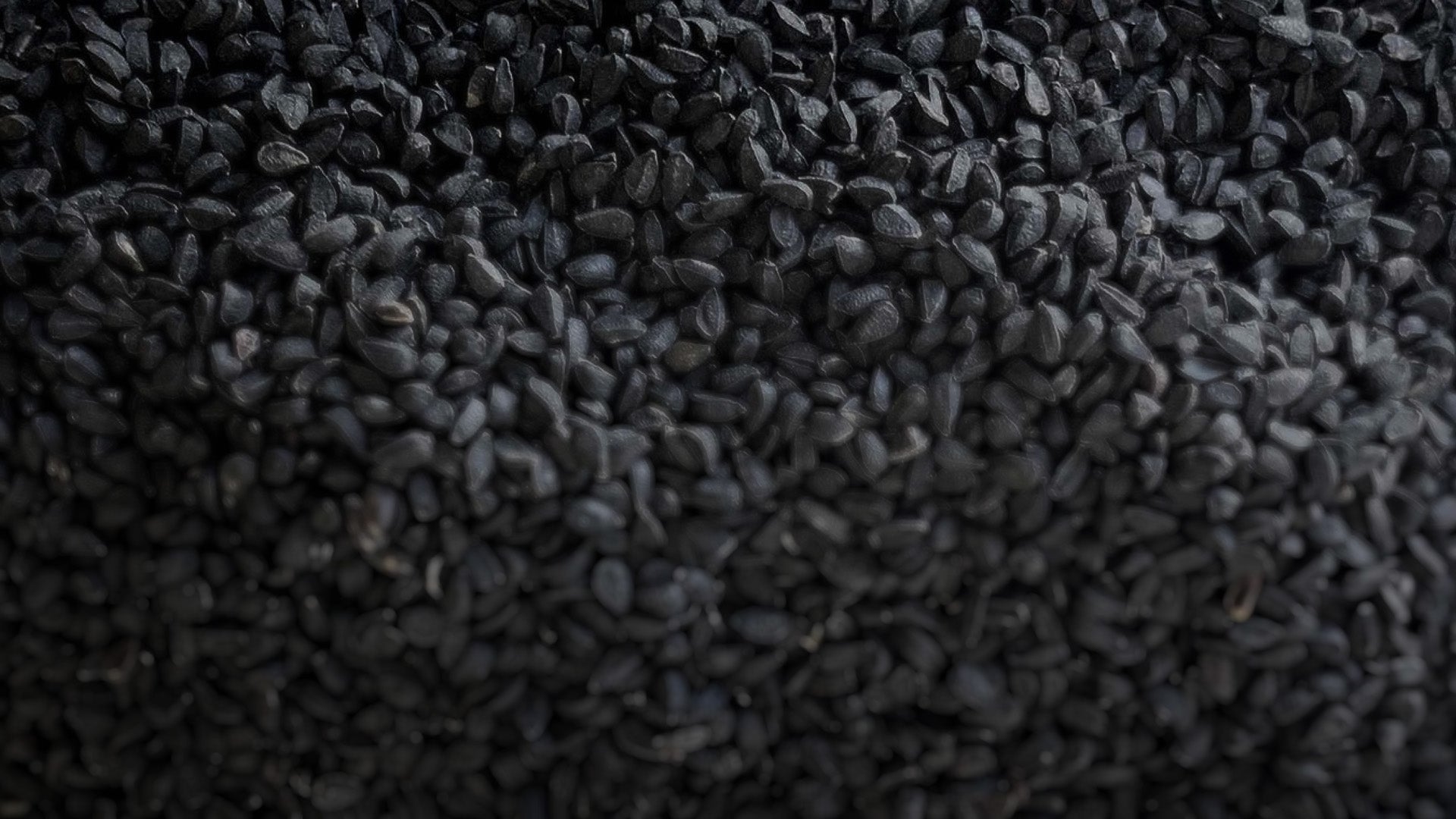 Black Seed Oil (Nigella sativa): Traditional Uses in Islamic Medicine and Herbal Practice