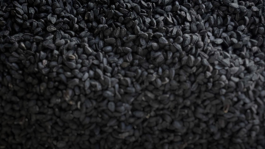 Black Seed Oil (Nigella sativa): Traditional Uses in Islamic Medicine and Herbal Practice