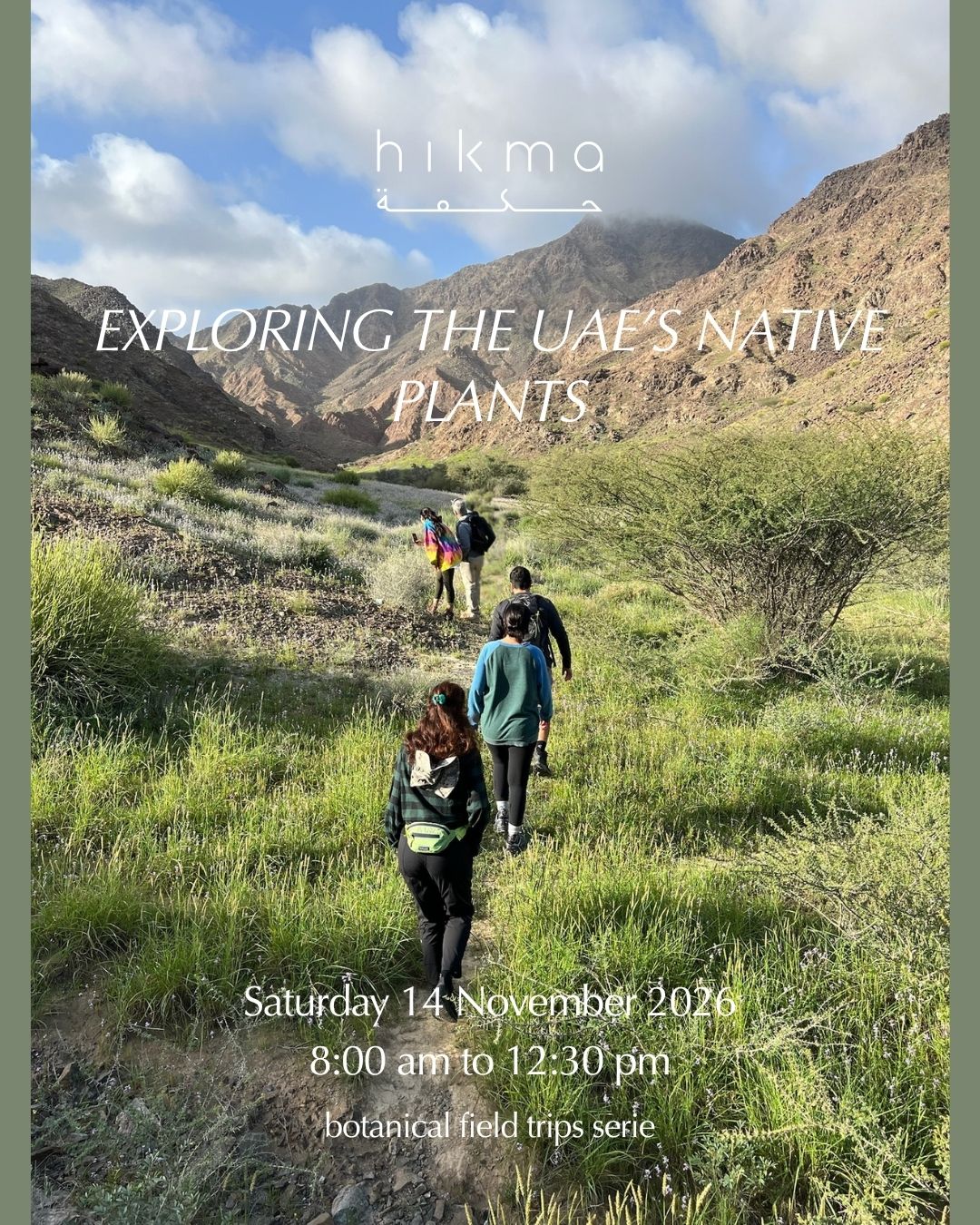 Exploring the UAE's Native Plants