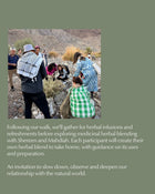 Exploring the UAE's Native Plants