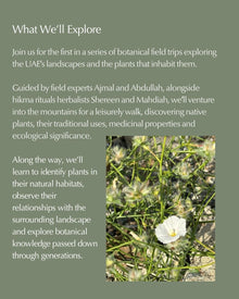 Exploring the UAE's Native Plants