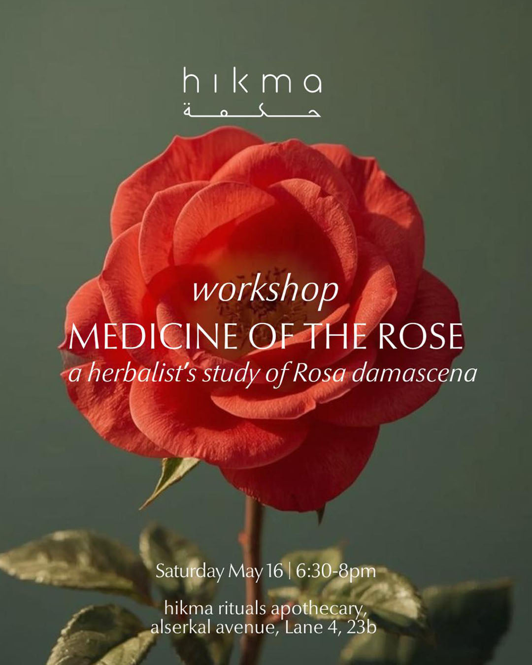 Medicine of the Rose