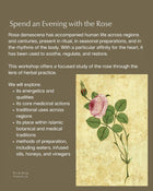 Medicine of the Rose