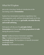 The Art of Fermentation