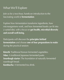 The Art of Fermentation