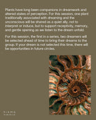 Promotional flyer for 'Dream Circle' workshop at hikma rituals apothecary, Alserkal avenue, Lane 4, 23B, Dubai.